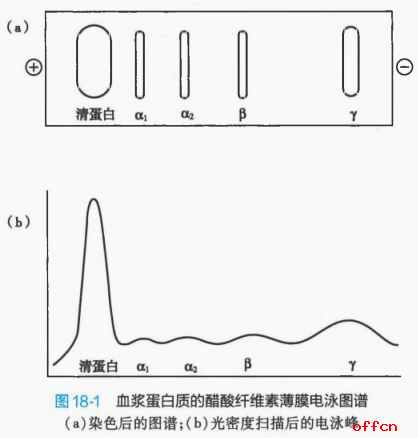 品牌能量溢价——从品牌力看产品价值的无限潜力